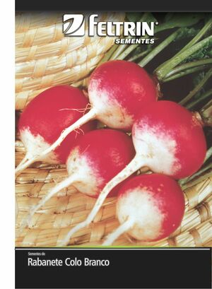 SEM RABANETE SPARKLER - BOX