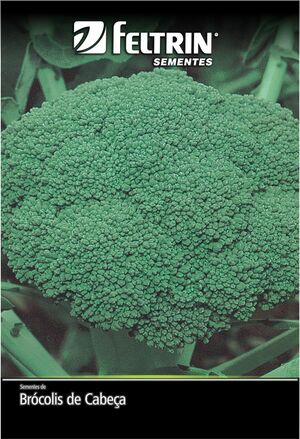 SEM BROCOLIS CALABRES DE CABECA - BOX