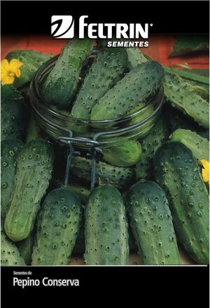 SEM PEPINO CONSERVA WISCONSIN SMR-58 - BOX
