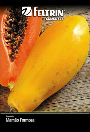 SEM MAMAO FORMOSA - BOX