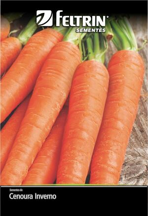 SEM CENOURA GIGANTE DE FLAKKER - GOLDEN