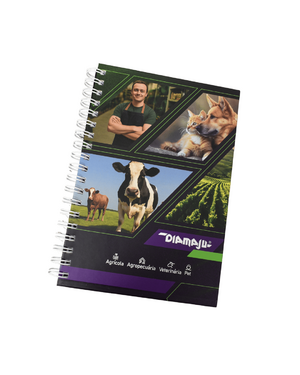 CADERNO DIAMAJU