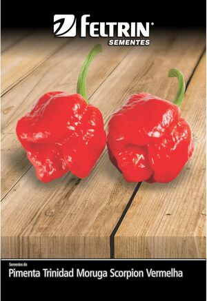 SEM PIMENTA MORUGA RED - GOLDEN