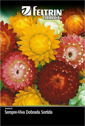 SEM FLOR SEMPRE VIVA DOBRADA SORTIDA - GOLDEN