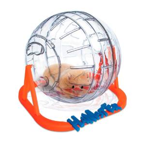 GLOBO DE EXERCICIO HAMSTER MEDIO