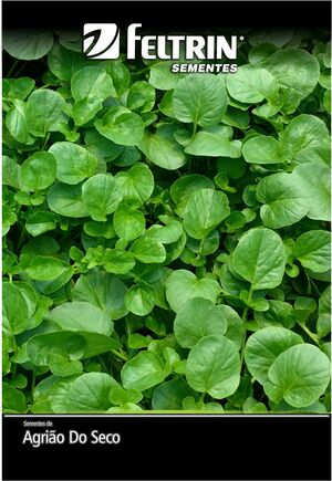 SEM AGRIAO TOPAZIO - BOX