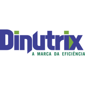 DINUTRIX BORO 13,3 4X5 L