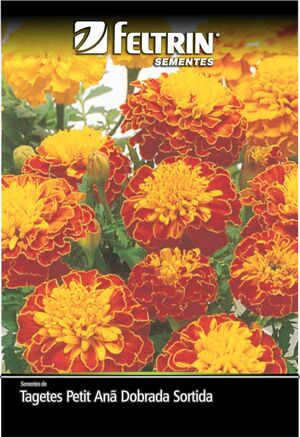 SEM TAGETES PETIT ANA DOBRADA SORTIDA DY 10 ENV