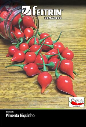 SEM PIMENTA BICO DY 1X25