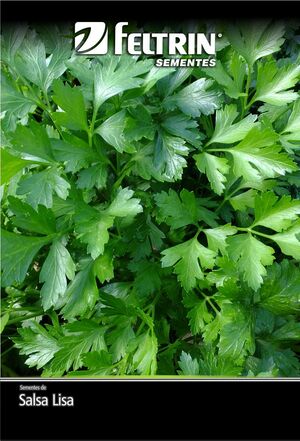 SEM SALSA LISA DY 1X25