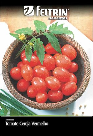 SEM TOMATE CAROLINA - BOX