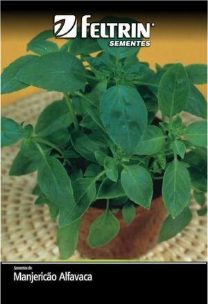 SEM MANJERICAO ALFAVACA VERDE DY 1X20