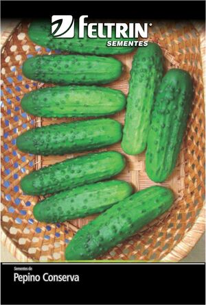 SEM PEPINO CONSERVA PIONEIRO 100 G