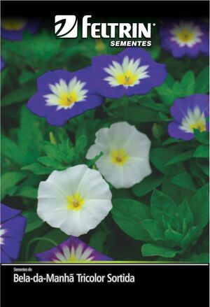 SEM FLOR BELA DA MANHA SORTIDA - GOLDEN