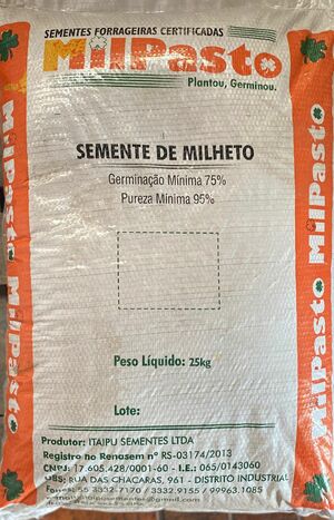 SEMENTE DE MILHETO CULTIVAR BRS 1501 CATEGORIA S-2 SAFRA 26