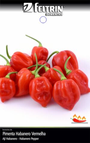 SEM PIMENTA VALESCA - GOLDEN