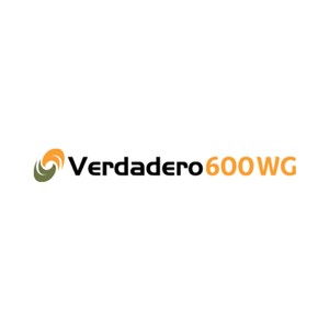 VERDADERO 600 WG 12X1KG