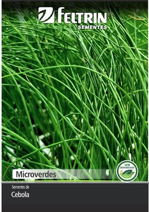 SEM CEBOLA BAIA HERVAL 100 G