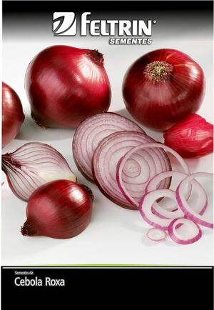 SEM CEBOLA CRIOULA ROXA - BOX
