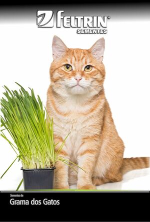 SEM TEMPERO GRAMA DOS GATOS - GOLDEN