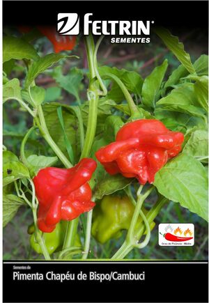 SEM PIMENTA CHAPEU DE BICO CAMBUCI DY 1X25