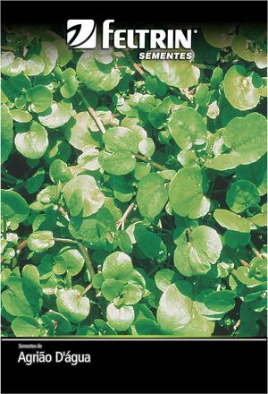 SEM AGRIAO LUMIAR - GOLDEN