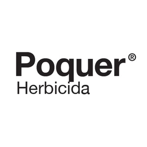 POQUER 1X20 LT