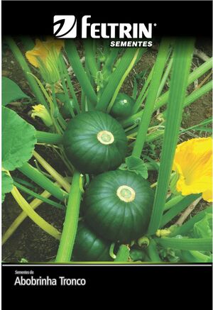 SEM ABOBRINHA DE TRONCO REDONDO VERDE - BOX