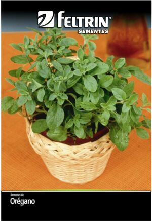 SEM TEMPERO OREGANO OREGANO - GOLDEN