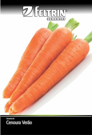 SEM CENOURA BRASILIA IRECE - BOX