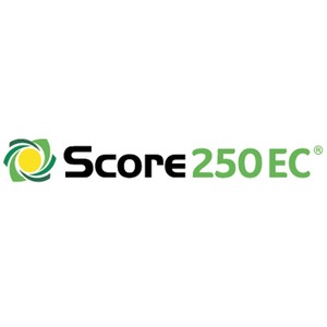 SCORE 250 EC 4X5 LT