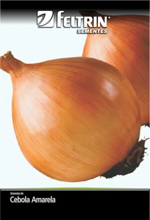 SEM CEBOLA BAIA HERVAL - BOX