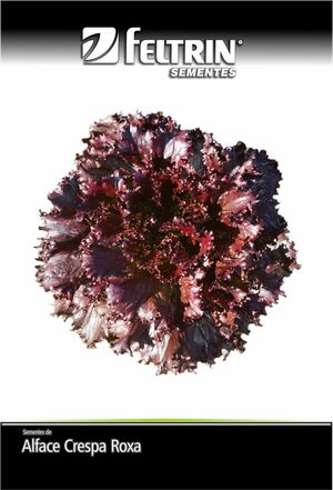 SEM ALFACE CARMELA CRESPA ROXA DY 1X25