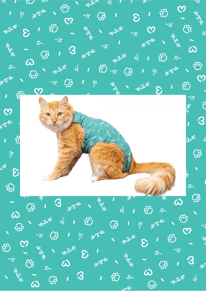 ROUPA POS CIRURGICA GATO  TAM 1