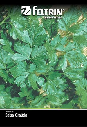 SEM SALSA GRAUDA PORTUGUESA NOVA SELECAO - BOX