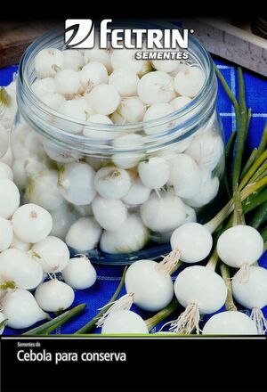 SEM CEBOLA BRANCA RAINHA CONSERVA - GOLDEN