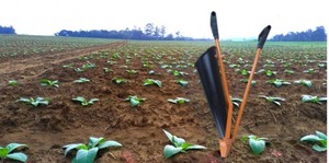 PLANTADEIRA DE FUMO MANUAL PICA PAU BOCA DE ENTRADA LATERAL