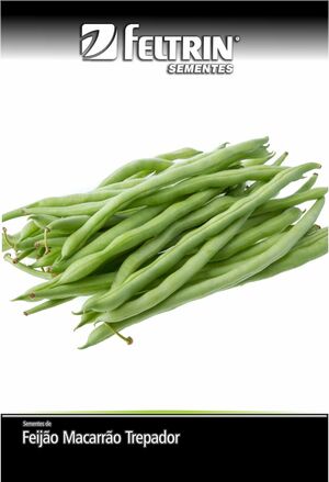 SEM FEIJAO TEMPESTA - BOX