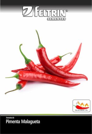 SEM PIMENTA MALAGUETA - ECONOMICA
