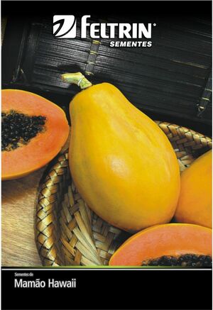 SEM MAMAO OURO - GOLDEN