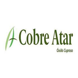 COBRE ATAR 18X1 KG