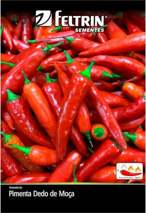 SEM PIMENTA DEDO DE MOCA DY 1X25