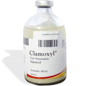 CLAMOXYL 100 ML