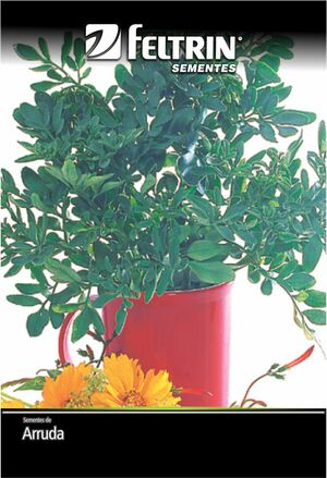 SEM TEMPERO ARRUDA - GOLDEN