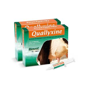 QUALLYXINE 10ML CX 12 SERINGAS