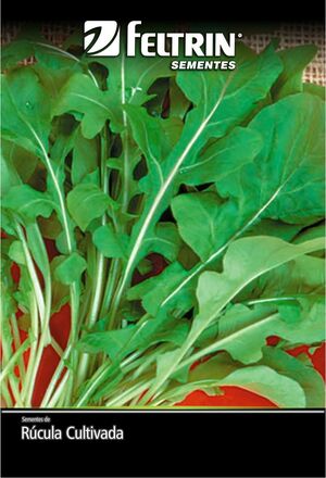 SEM RUCULA CULTIVADA - BOX