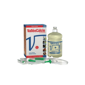 VALLEE CALCIO 500ML