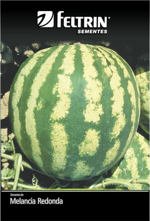 SEM MELANCIA CRIMSON SWEET 250 G