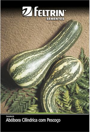 SEM ABOBORA GOIANINHA - BOX