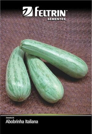 SEM ABOBRINHA CASERTA ITALIANA - BOX